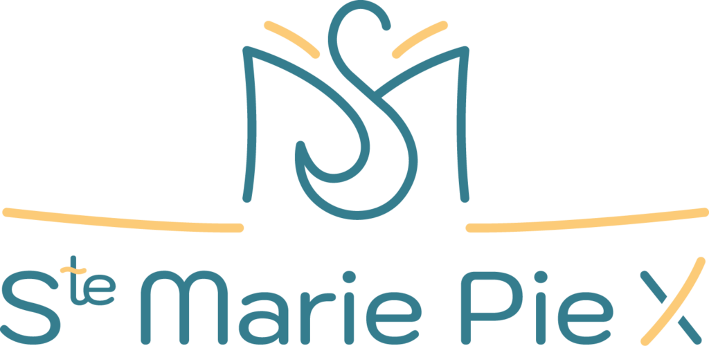 logo_SMPX_bleu_jaune